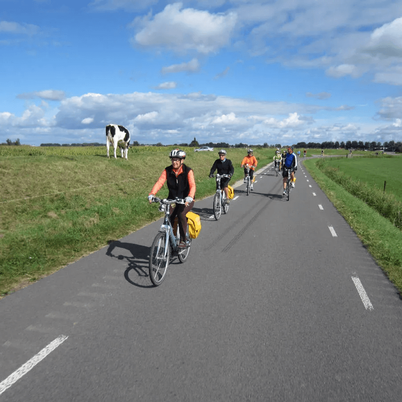 Webdesign Wervershoof, Webdesign Snel een webdesigner - Boost jouw Online Succes met onze Hulp